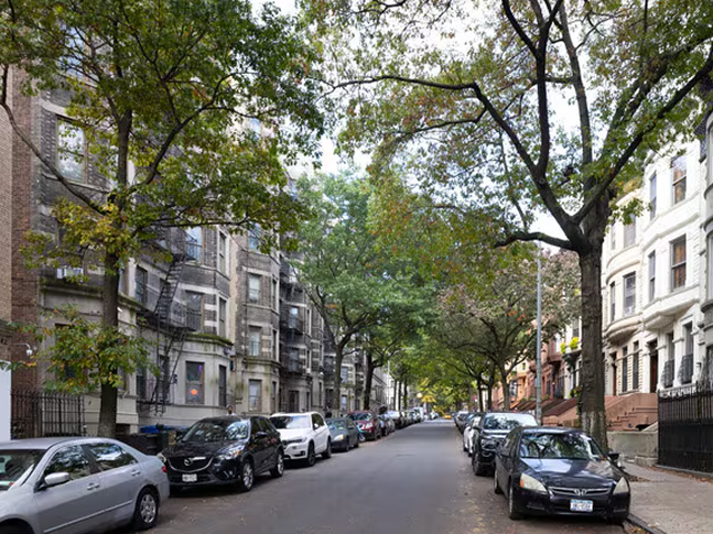 A quiet city street lined with parked cars, leafy trees, and apartment buildings on both sides. Signs of recent drywall repair are visible in some windows, while green foliage arches brightly over the road.